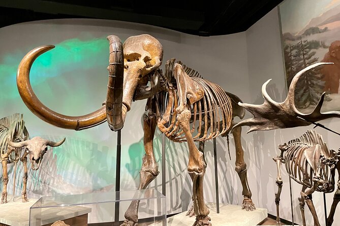 Skip-the-Line Private Field Museum of Natural History Guided Tour - Tour Overview