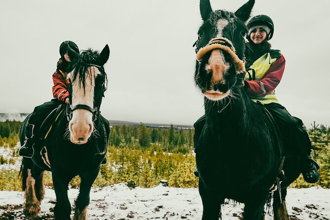 Small-Group Arctic Circle Horse Riding From Rovaniemi - Tour Overview