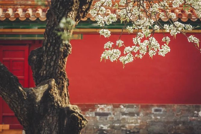 Small Group Beijing Layover Tour to Mutianyu Great Wall and Forbidden City