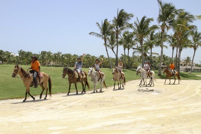 Small-Group Half-Day Horseback Riding Tour From Punta Cana - Tour Overview