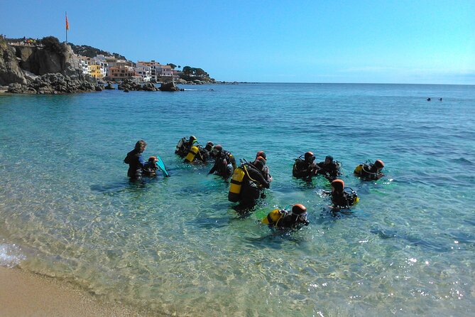 2 Best Scuba Diving Experiences In Figueres