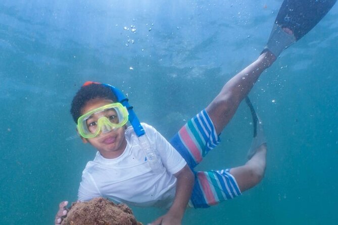 Small-Group Snorkeling Boat Trip in Guánica, Puerto Rico - Meeting and Pickup