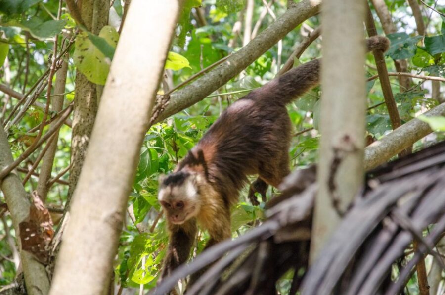 2 Best National Park Tours In Colombia