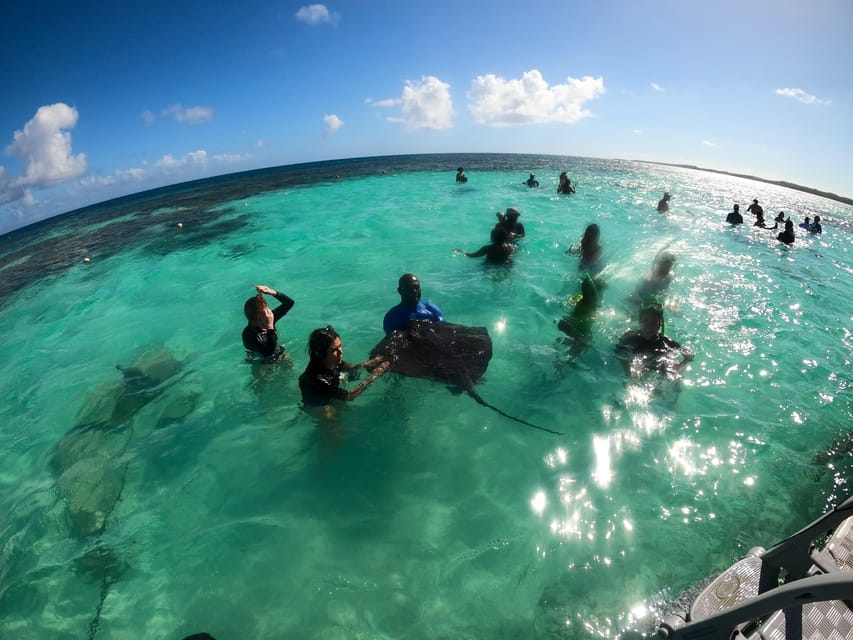 Snorkeling Activity in Stingray City Antigua - Transfer Inc.