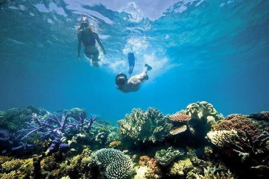 Snorkeling at Blue Lagoon Bali With Lunch and Transport