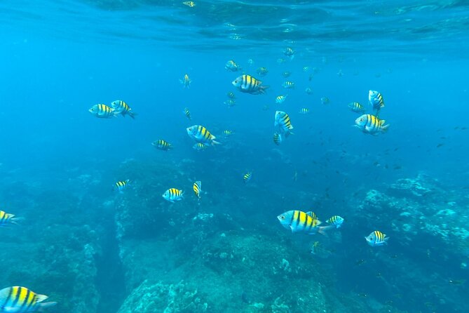 Snorkeling at Caño Island - Overview of Caño Island