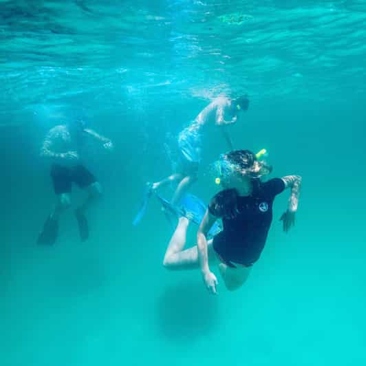 Snorkeling, Dolphins, and Crab Island