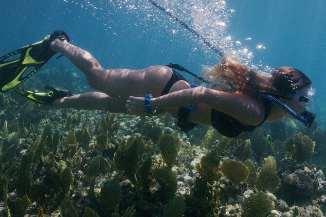 Snorkeling Experience on a NEMO Diving System