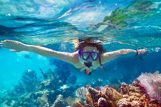 Snorkeling in Coral Island, Trincomalee