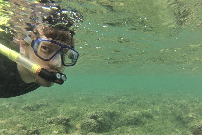 Snorkeling in Gatas Bay