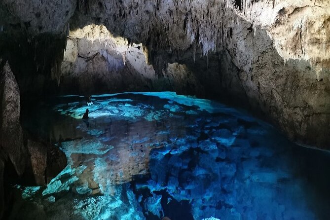 Snorkeling in the Cenotes of Bayahibe - Overview of the Cenotes