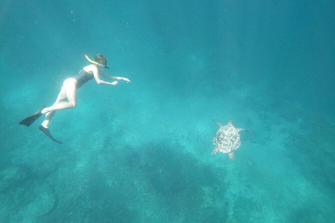 Snorkeling Manta Bay And West Penida Private Guided Tour