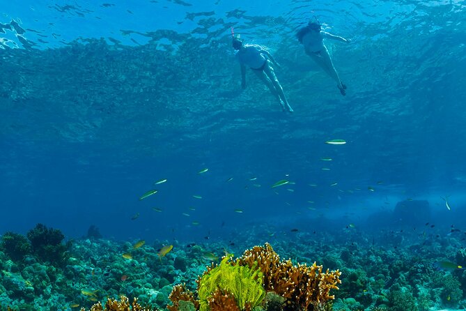 Snorkeling Trip to Menjangan Island - Facilities and Amenities
