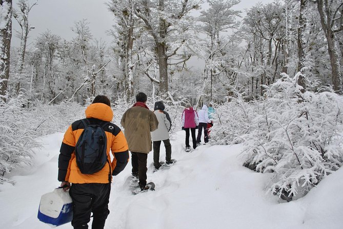 Snow Day Adventure: Hike & Moto Ski at Llanos Del Castor - Overview of the Adventure