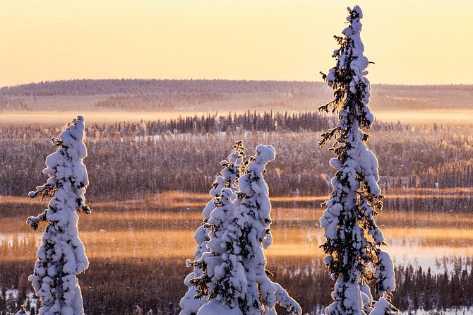 Snowmobile Driving – Morning Start
