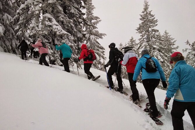 2 Best Guided Tours In Chamonix