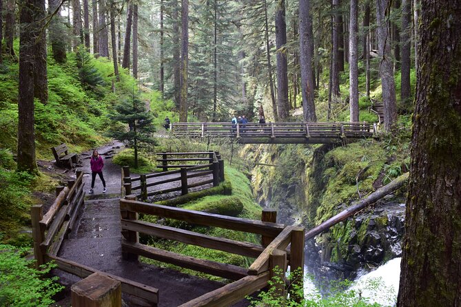 Sol Duc, Lake Crescent, and Hurricane Ridge Guided Tour in Olympic National Park