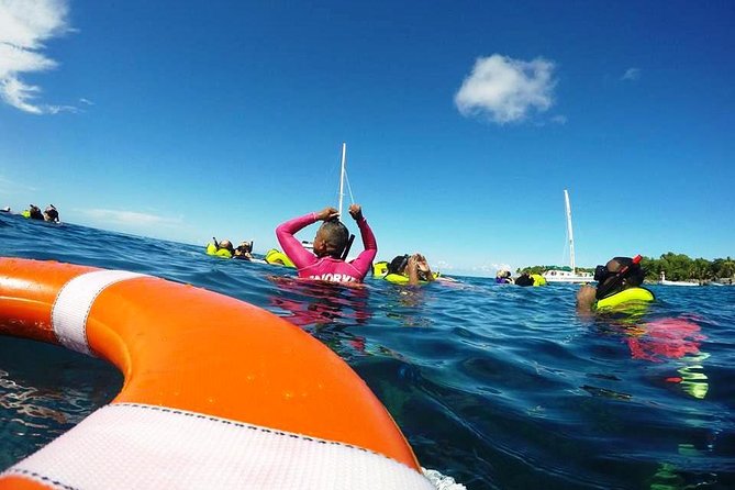 Sosua Catamaran Excursion - Overview of the Excursion