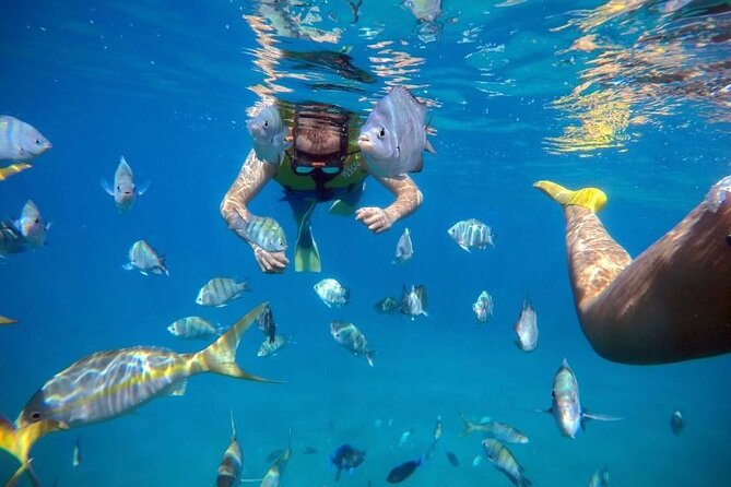 Sosua Party Boat - Private Tour-Snorkeling- Ambar Cove -Taino Bay