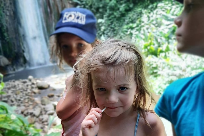 Soufriere Special Day Tour
