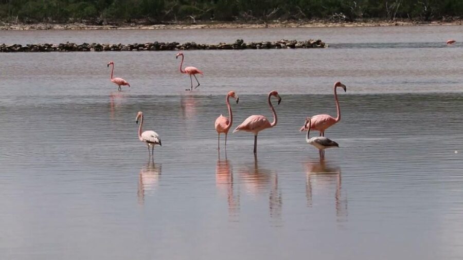 South Long Island 3 Hour Guided Land Tour