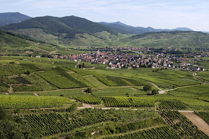 Spirit of TERROIR