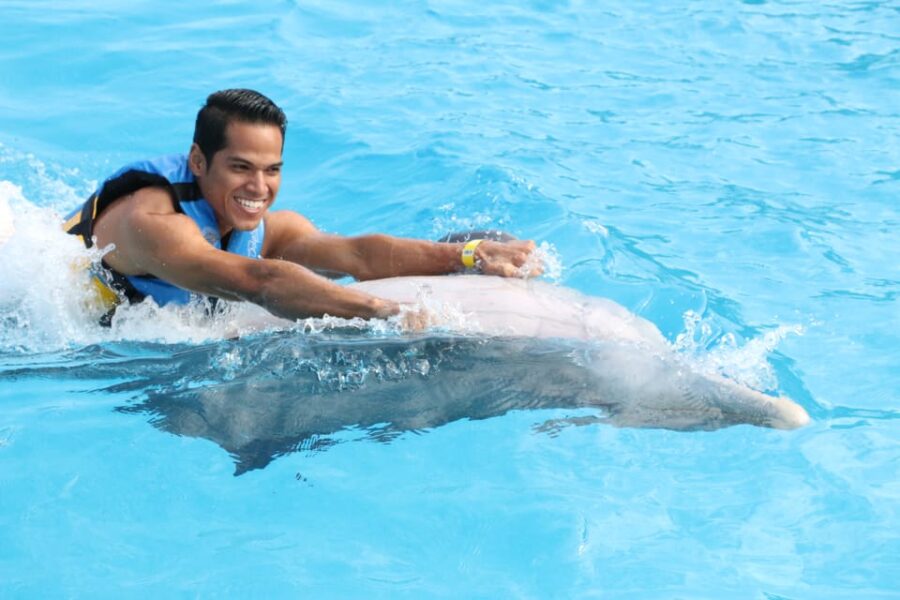 St. Augustine: Swimming With the Dolphins Entry Ticket