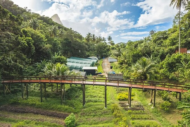 St Lucia Airport Transfer to Hotel Chocolat
