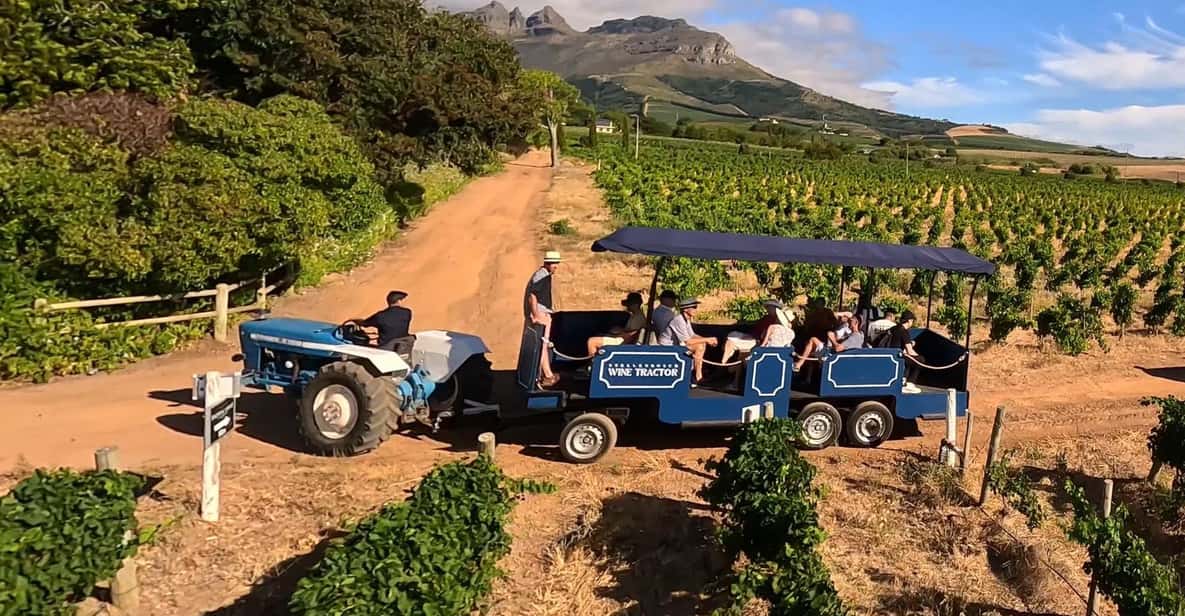 Stellenbosch Wine Tractor: Hop on Hop off Wine Tasting Tour