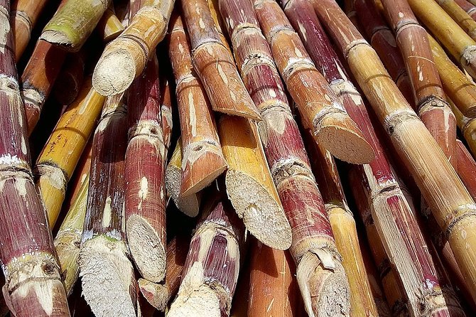 Sugar Cane Hacienda El Paraiso & Nature Day Tour