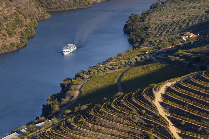 Sunday Trip From Porto to Régua by Bus and Return by Boat