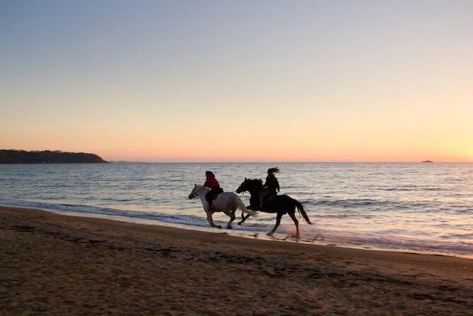 Sunset Horseback Riding in Puerto Plata - Overview of the Experience