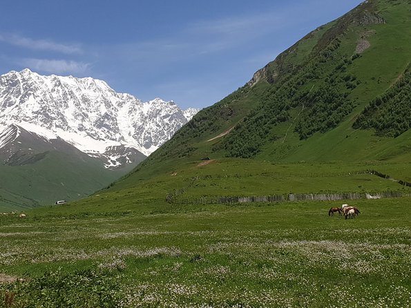 Svaneti – Mestia, Ushguli – 3 Nights of Wonder