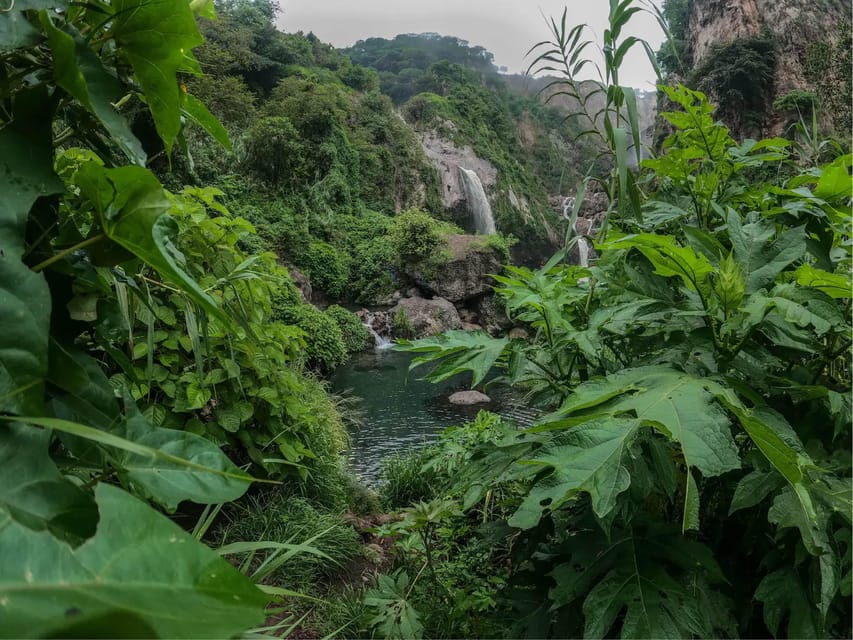 Swim in Lush Springs and Waterfalls in Guadalajara