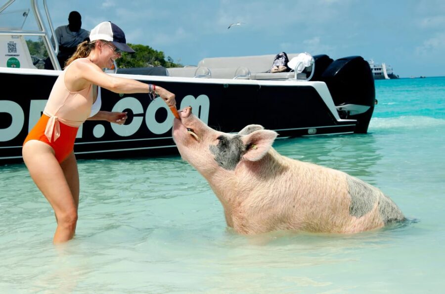 SWIMMING PIGS & SNORKELING 2HR BOAT TOUR FROM NASSAU - Tour Overview
