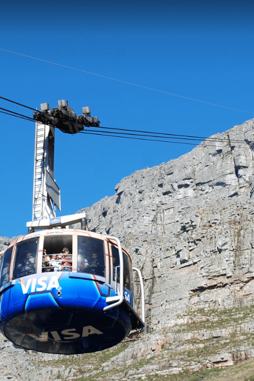 Table Mountain, Boulders Beach and Wine Tasting Tour