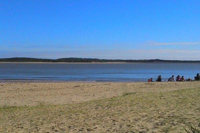 Taichi & Qigong Class in Naples, Florida - Location and Meeting Details