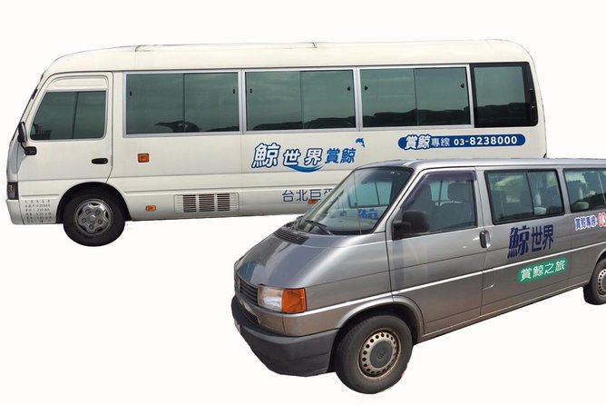 2 Best Dolphin Watching Tours In Hualien