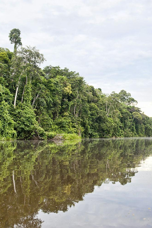 Tambopata 3D | Monkey Island + Lake Sandoval + Bonfire |