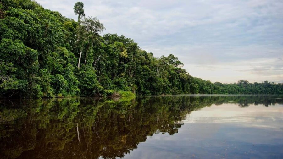 Tambopata 4Days/3Nights