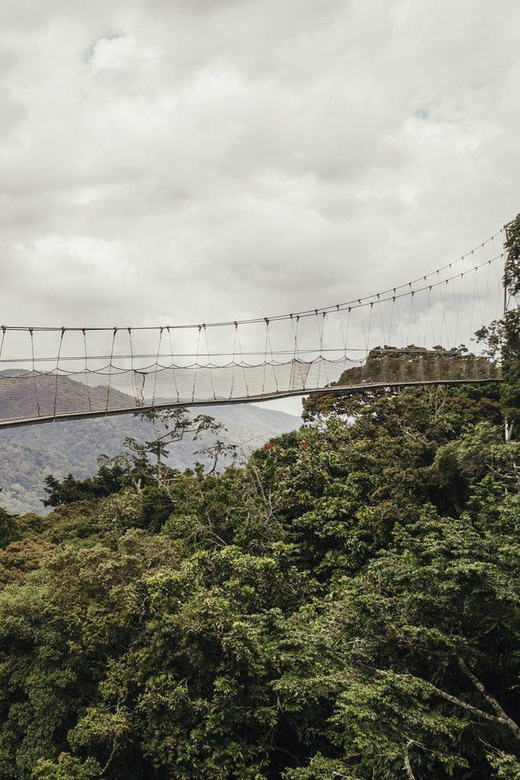 Tambopata: Lago Sandoval and Colpa of Loros 3- Days