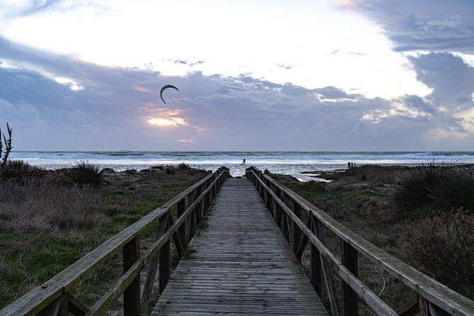 Tarifa and Bolonia , Full-Day Food and History Tour From Marbella