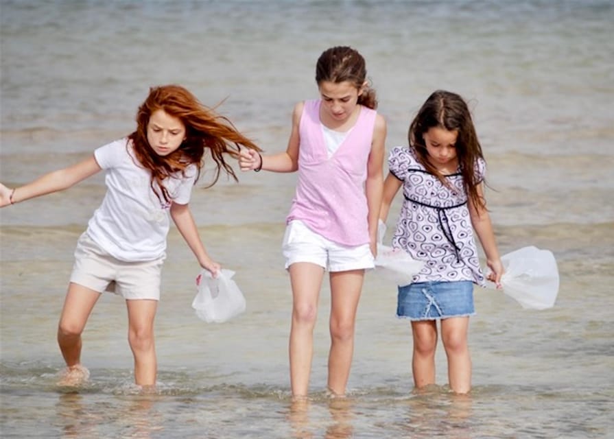 Tarpon Springs: Evening Dolphin Cruise