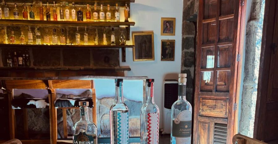 Taste the Spirits of Mexico Through Its Agave Distillates