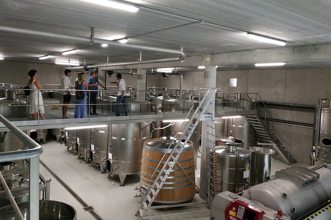 TASTING - Selection of Wines From the Estate - Winery Overview