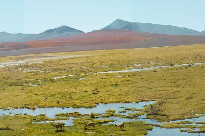 Tatio Geysers