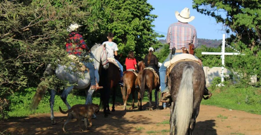 5 Best Tours In Tepoztlan