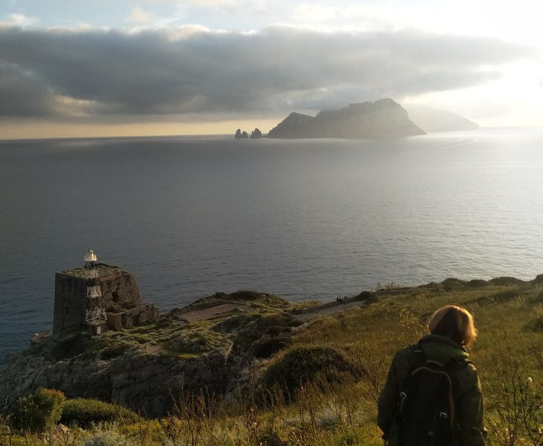 Terms: Punta Campanella Hiking Tour - Tour Overview