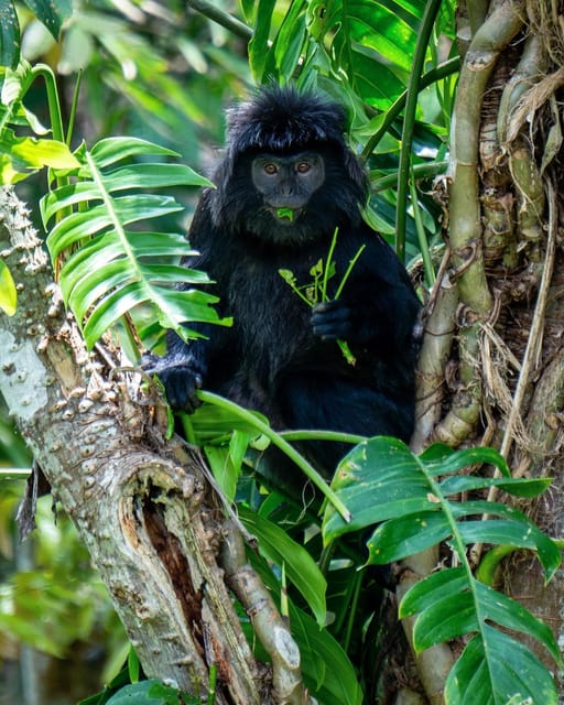 Tetebatu Ona Day Trip - Overview and Pricing