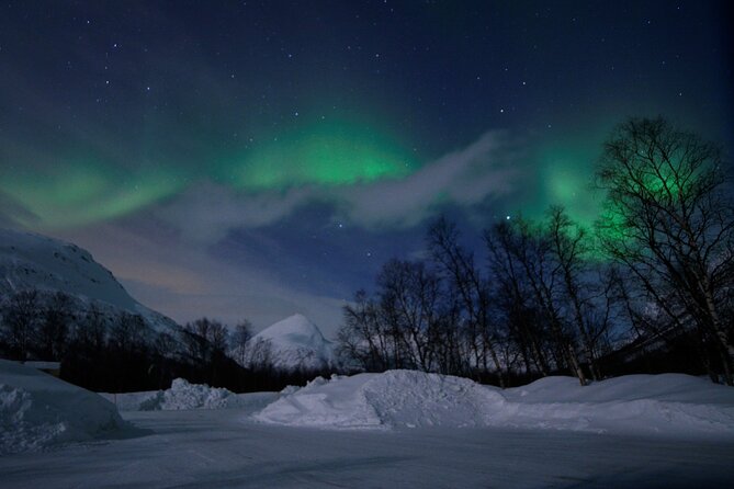 The Aurora Tour - VIP Trip for Northern Lights, Aurora Borealis - Tour Inclusions and Features